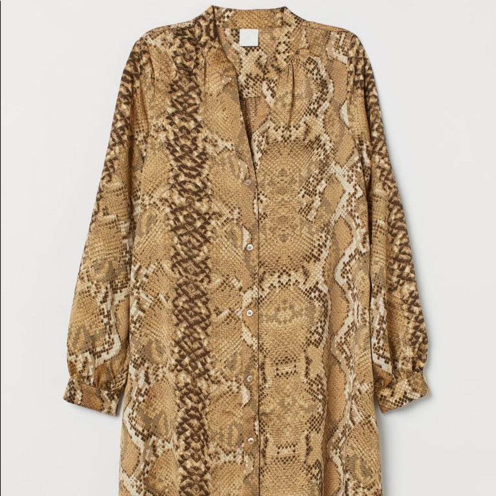 Snake Shirt Dress Tunic Long Sleeve H&M 4